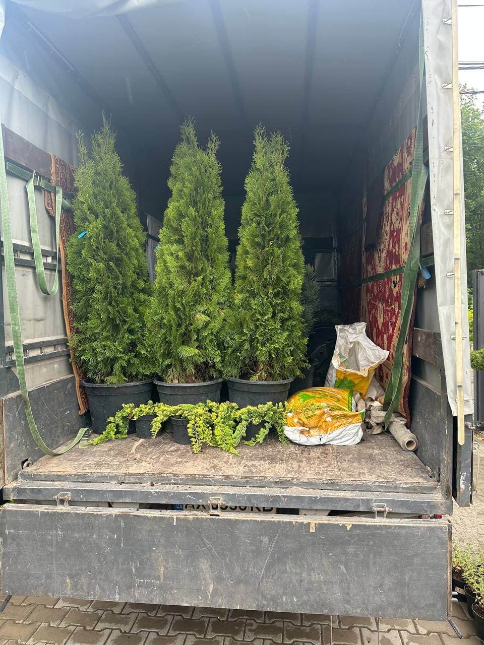 Бережне транспортування рослин у Харкові — Вантаж Time